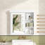 Armoire de salle de bain murale polyvalente avec miroir et tablettes réglables, idéale pour le rangement organisé et le décor élégant de la salle de bain.