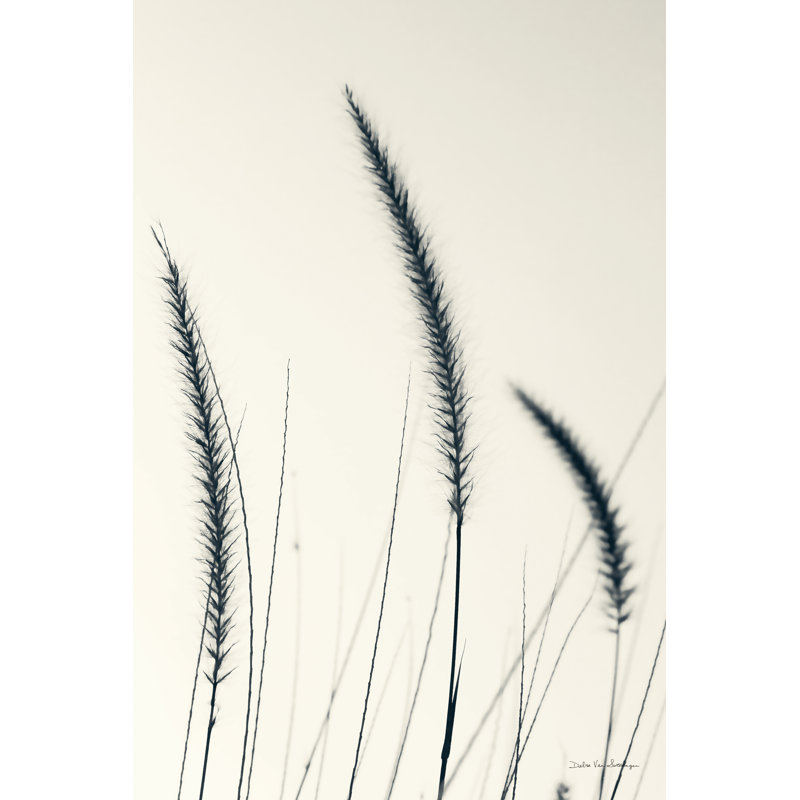 Herbes de champ IV - impression, H 30 po x l 20 po