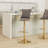 Velvet Adjustable Height Bar Stools (Set of 2)-259159679