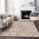 Machine Washable Indoor/Outdoor Colman ACN2130 Striped Rug