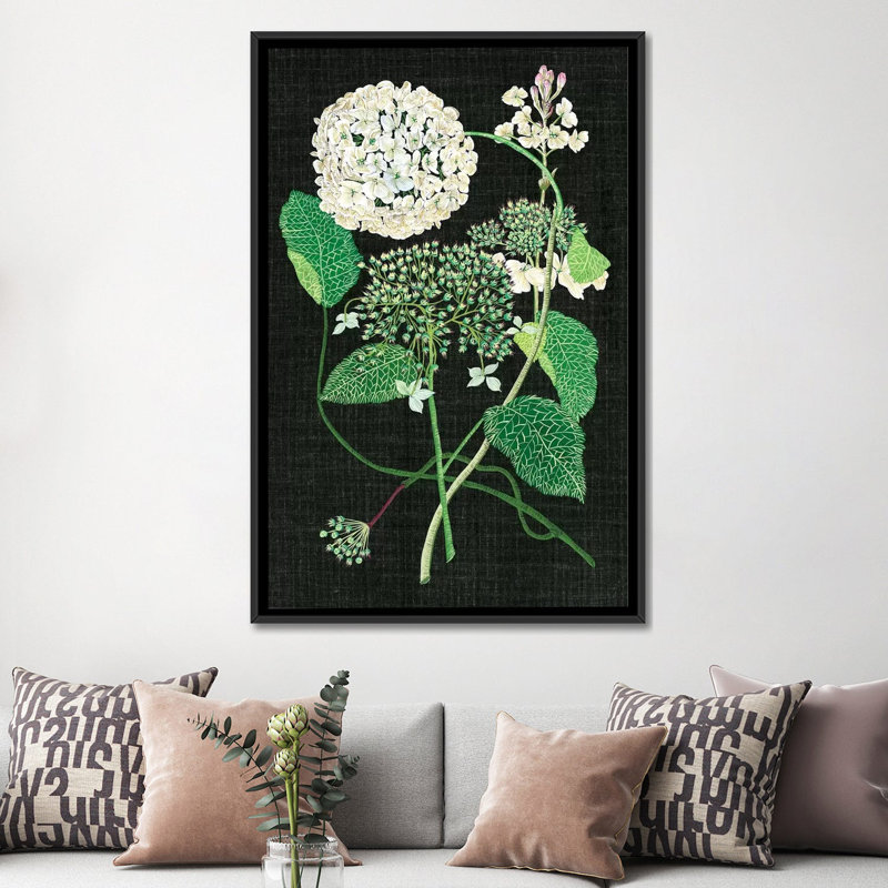 « white hortensia study i », impression sur toile, H 26 po x l 18 po x P 1,5 po, Toile avec cadre noir, Pas de tapis