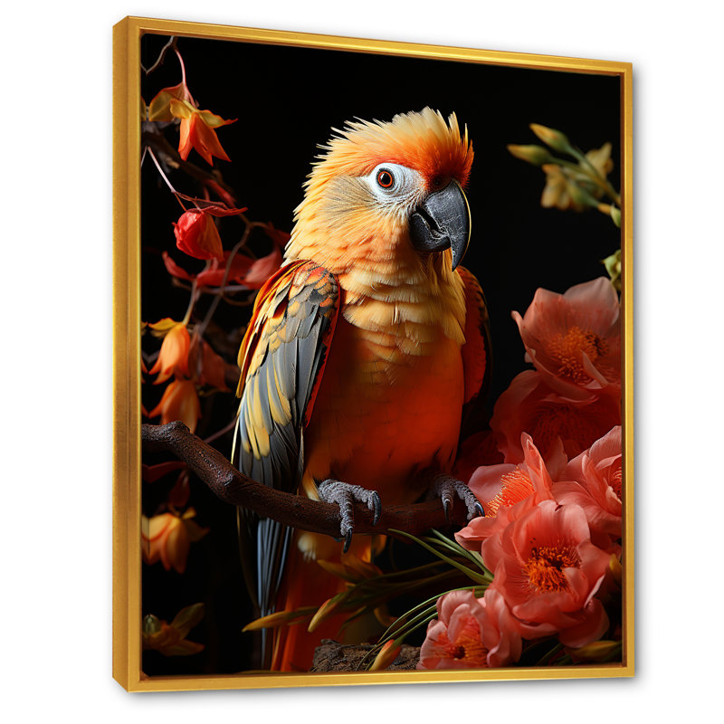 Perroquets, sérénade tropicale sur toile, Cadre flottant doré, H 20 po x l 12 po x P 1 po