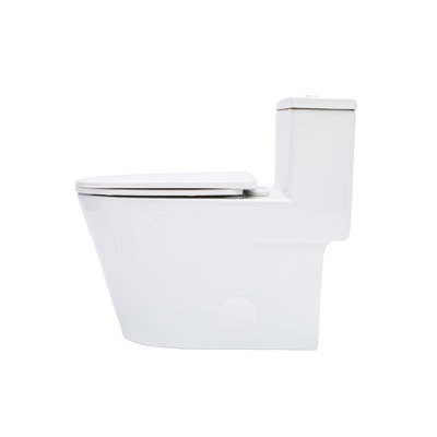 One Piece Ceramic Toilet 12 - Inch Rough In, Dual Flush 1.24/1.43 , Soft Close Seat, 800G Map Rating, Non Porous Surface For Low Maintenance With Flush, Body