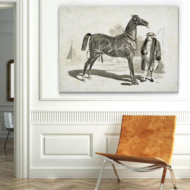 « équin sketch vii », impression, H 18 po x l 27 po x P 1,5 po, Pas de tapis, Toile tendue