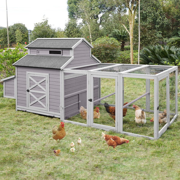 Archie & Oscar™ Chicken Coop 115in Large Chicken House With Run Poultry ...