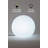 12" Plug-in Integrated Led Outdoor Globe Light