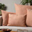 Orange Cushion-133359451-133359452