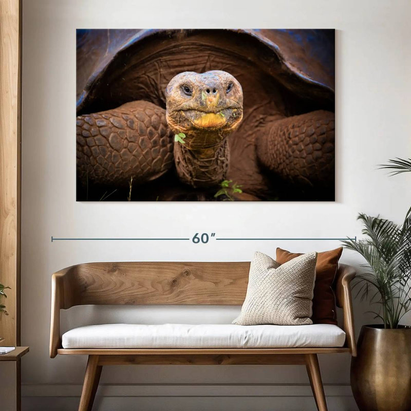 Brampt Galapagos Tortoise, 34" H x 51" W