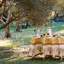Nappe Dyess Olive Tree-107096887-107096890