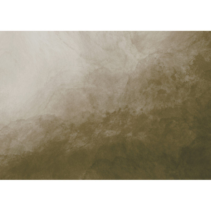 Genioara Ombre Area Rug, Rectangle 140 x 200cm