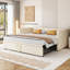 Borchert 2 Seater Fabric Sofa Bed-124004612