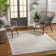 Abidemi Oriental Indoor / Outdoor Rug