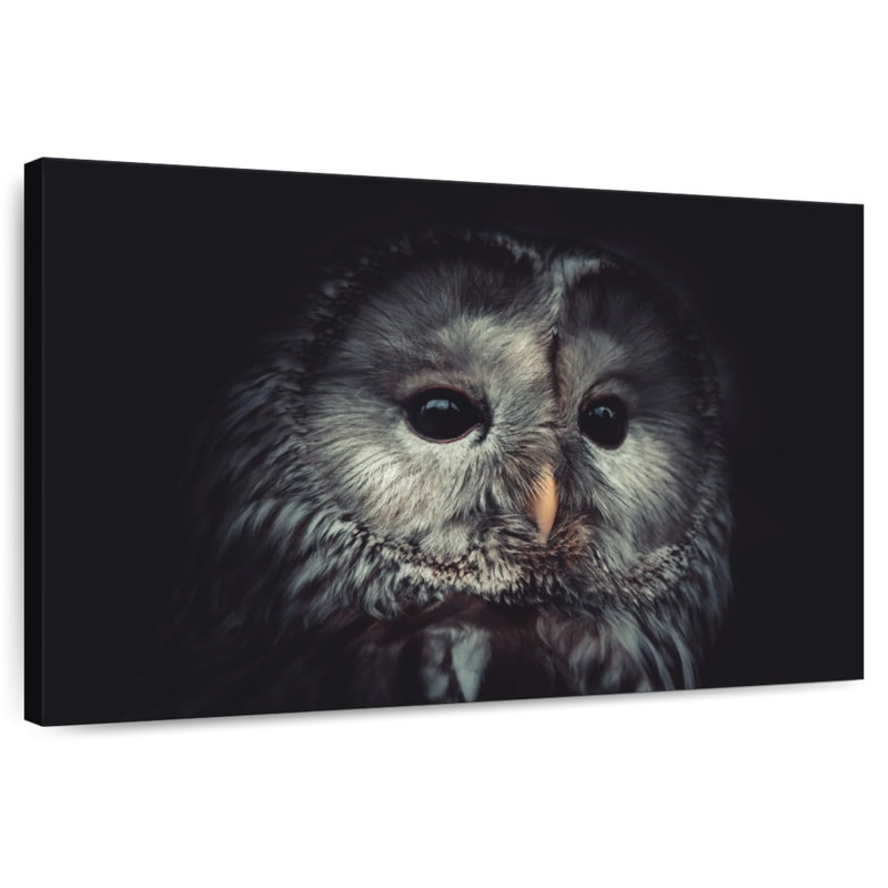 Hibou solitaire Brampt, H 26 po x l 39 po