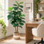 Figuier lyre artificiel avec jardinière tressée-418815383