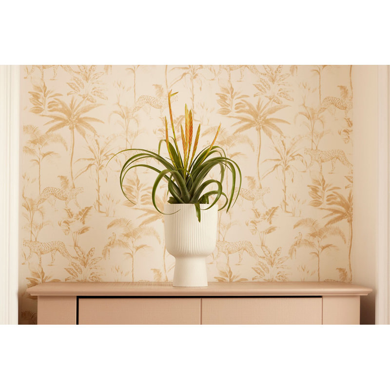 Pot Planter, Silky White