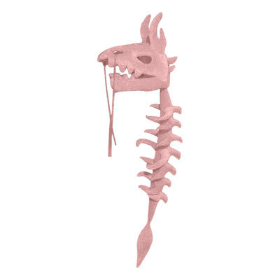 Realistic Dinosaur Skeleton Set
