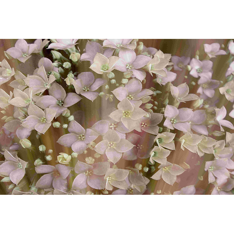 Floral doux II, H 20 po x l 30 po