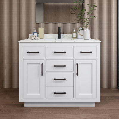 Beckett TK 42'' W Vanity
