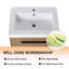 Meuble-lavabo mural simple avec plateau en résine Olus 23,99 po