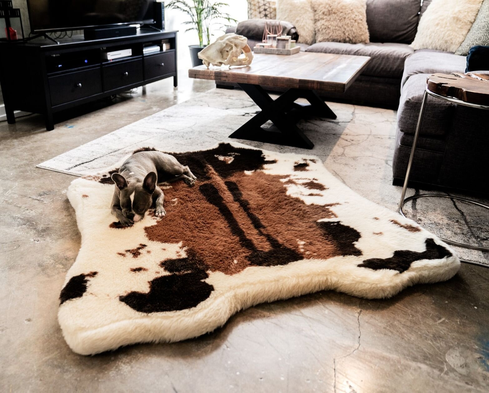 Zebra print luxury dog bed