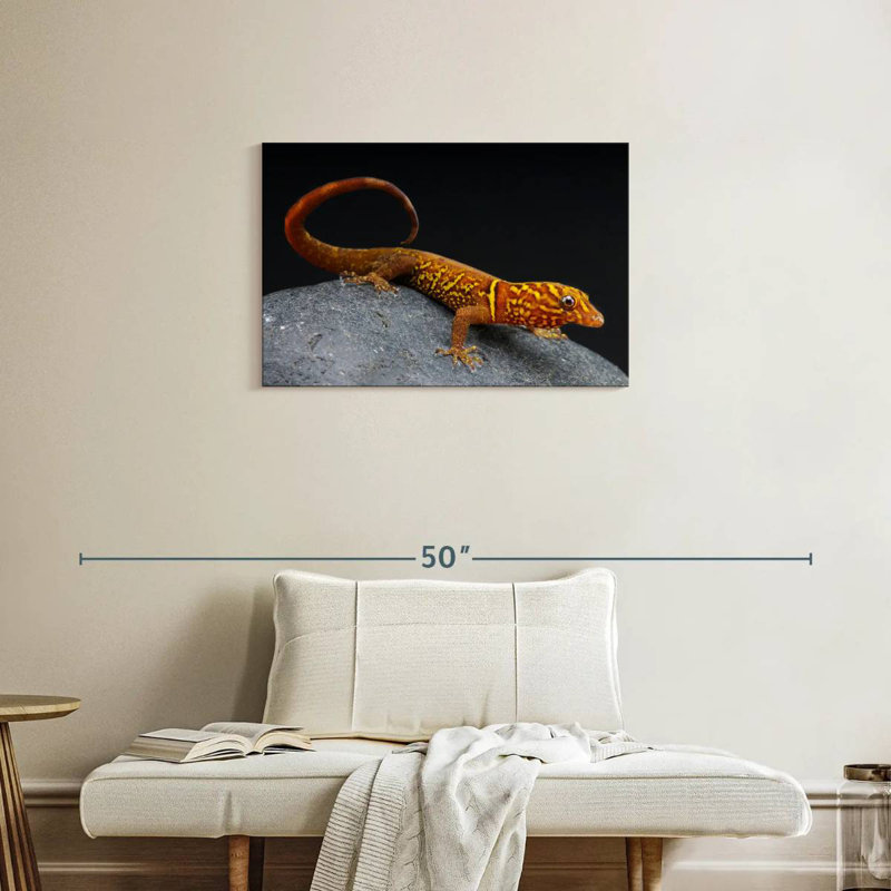Brampt Gecko, 20" H x 30" W