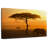 Lone Elephant-107670054