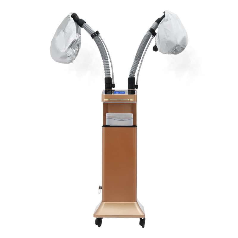 Multifunctional Hair Steamer Machine