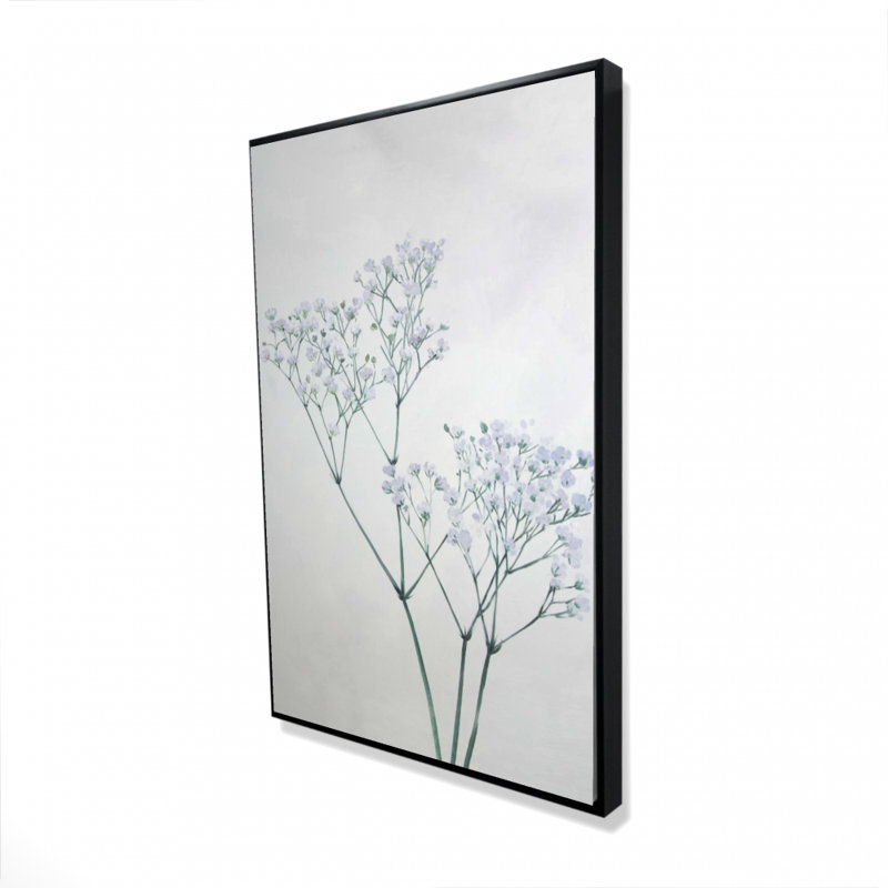 " Baby's-breath Flowers "