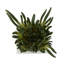 Bartol plante artificielle en pot 8,35 po