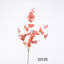 Buissons d'eucalyptus Hamlin-88400811