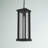 Ayala Outdoor Pendant
