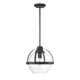 Willem Single Light Glass Dimmable Pendant