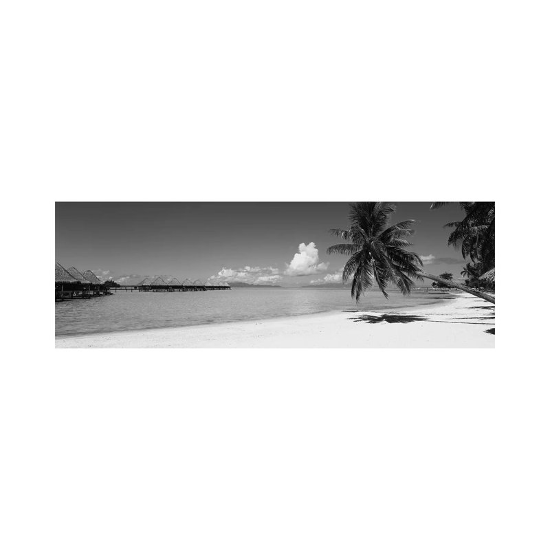 Palm Tree On The Beach, Moana Beach, Bora Bora, Tahiti, French Polynesia by Panoramic Images - Wrapped Canvas Panoramic Print