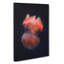 Jellyfish Vol.5 - Wrapped Canvas-61854161