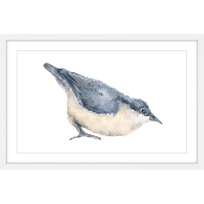 Nuthatch Bird Blue and Beige Canvas Print