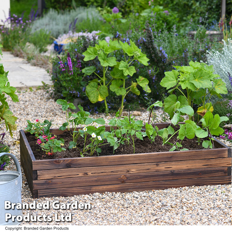 Maisie Wood Raised Flower Bed 110x90cm (x2), 116Cm H x 27Cm W x 24Cm D