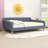 Queen Upholstered Daybed with Support Legs-383548261
