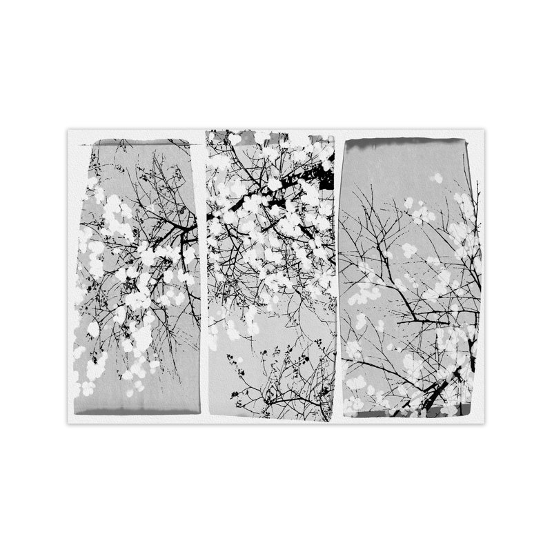 Oriental Blossom by Orara - Print on Canvas, Paper, 42cm H x 59.4cm W x 3cm D