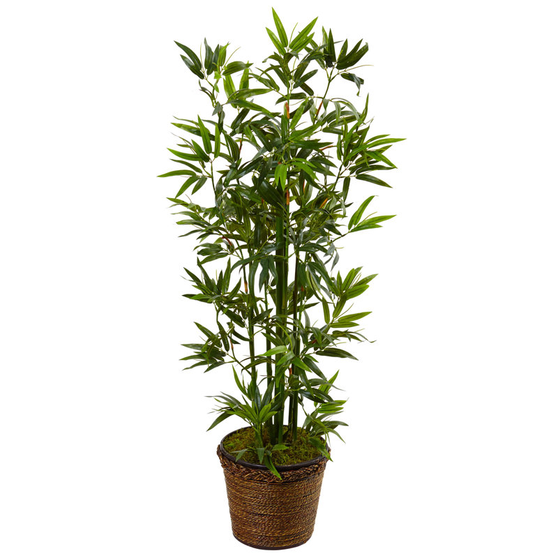 48'' Faux Bamboo Tree in Wicker/Rattan Basket