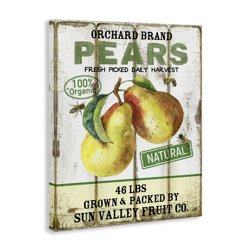 «Farm Orchard Pears», art mural sur toile par Creatif Belle bp-616_CN, H 20 po x l 16 po