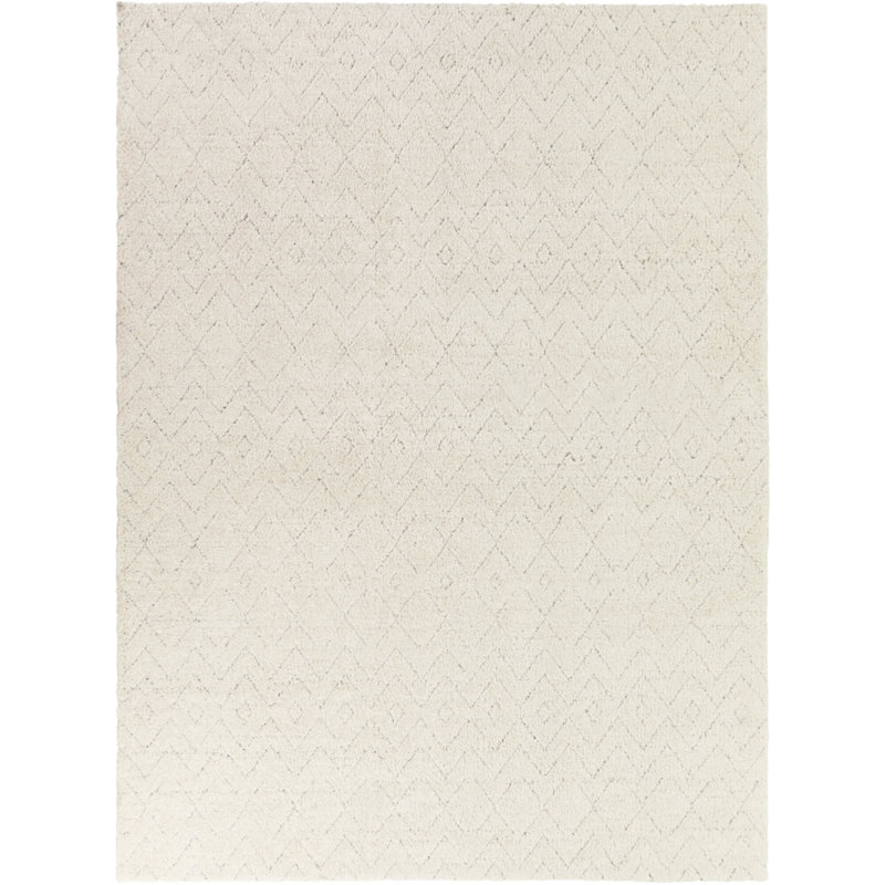 Tapis gris Gaius, Rectangle 5 pi 3 po x 7 pi