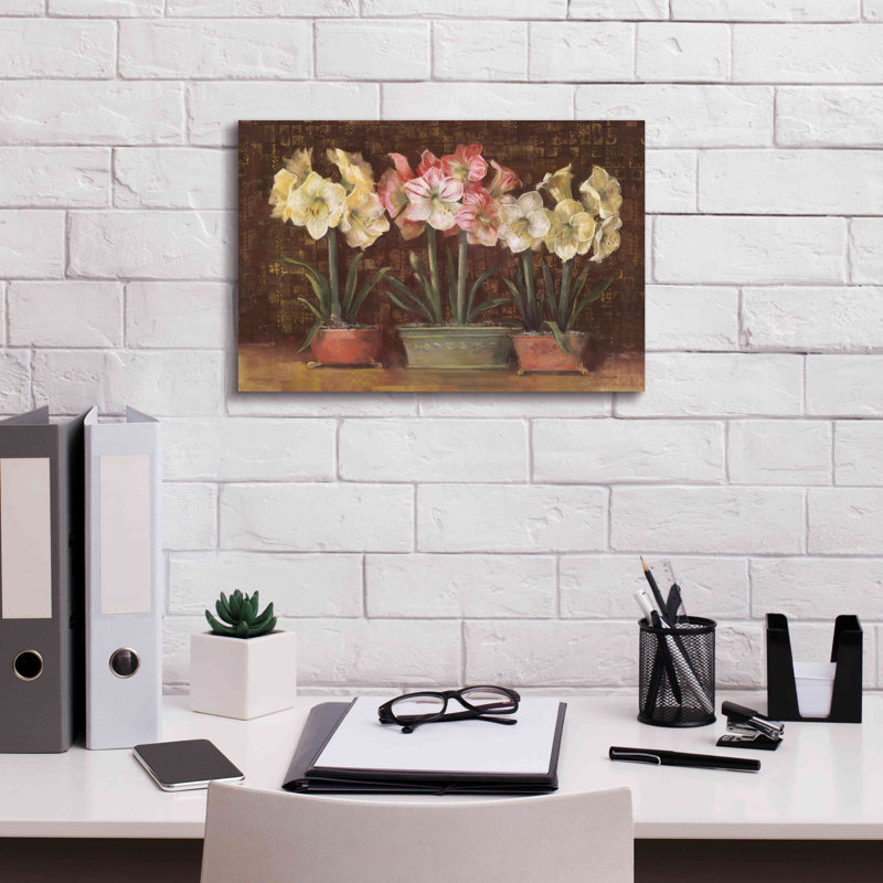 «Aanyah Amaryllis on Brown» par Carol Rowan - reproduction d'art sur toile tendue, H 12 po x l 18 po x P 0,75 po