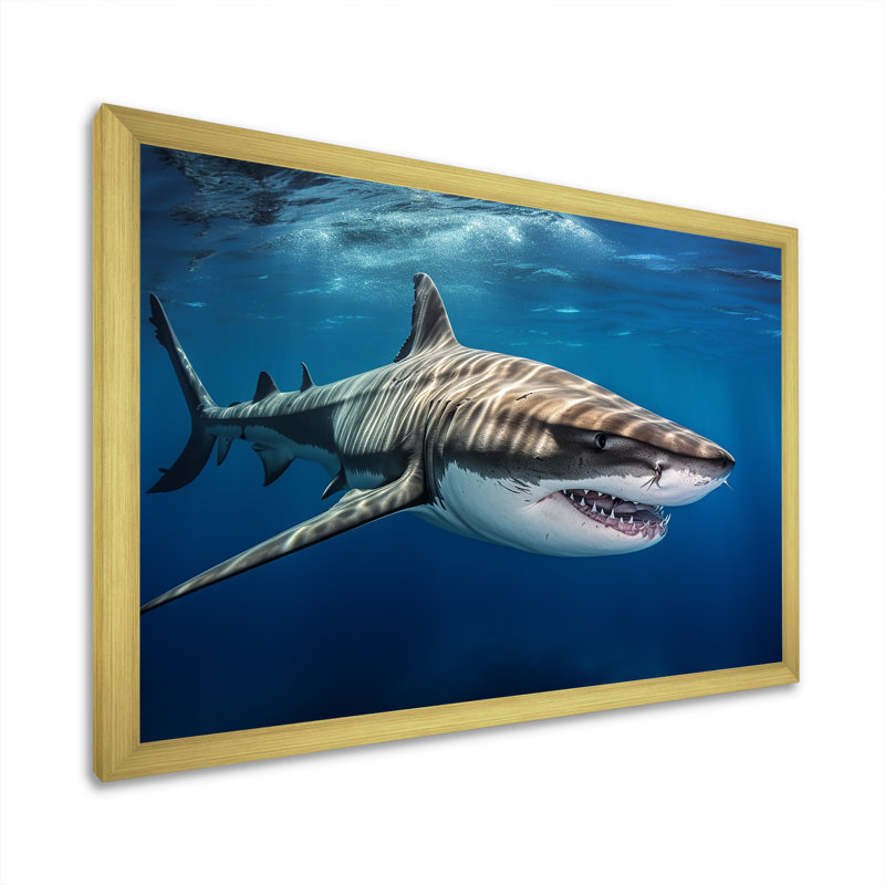 " Tiger Shark Territory I ", Gold Single Picture Framed, 24" H x 32" W x 1" D