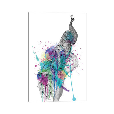 Peacock 1 Piece Wrapped Canvas Wall Art