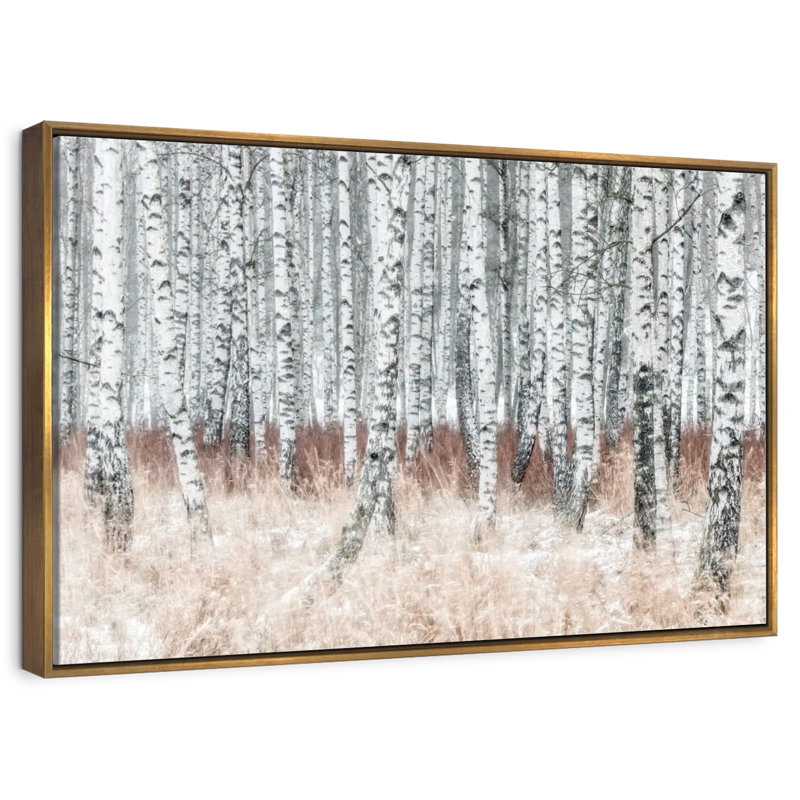 Hiver, forêt de bouleaux, Cadre flottant doré, 19 po x 13 po