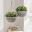 Boxdale Hanging Planter - Set of 2-549305103-549305101