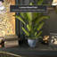 Vase-913585960