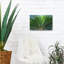 «Tropical III» par Dennis Frates-1395415184