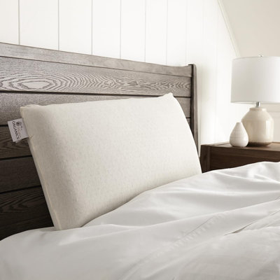 Oreiller de sommeil en latex 100% naturel Whisper Organics, infusé de charbon de bois - 6 pouces d'épaisseur - Oreiller en mousse de latex mi-ferme - Housse en coton biologique certifié GOTS, oreiller en caoutchouc (taille standard)