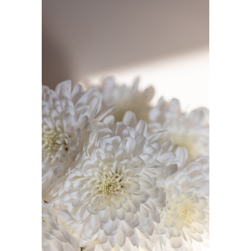 Wrapped Canvas Print, 76.2 cm H x 50.8 cm W